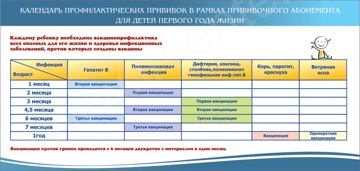прививка превенар схема вакцинации