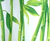 623-11 Занавеска BAMBOO