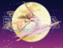 411 Fairy - moon 40х50
Resource id #38