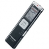 Диктофон PANASONIC RR-US950 E-K 2GB стерео 36.10-145.10 моно 72.30-290.20