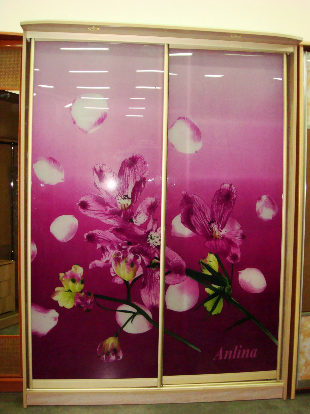 ШКАФ-КУПЕ \"МАЭСТРО\"