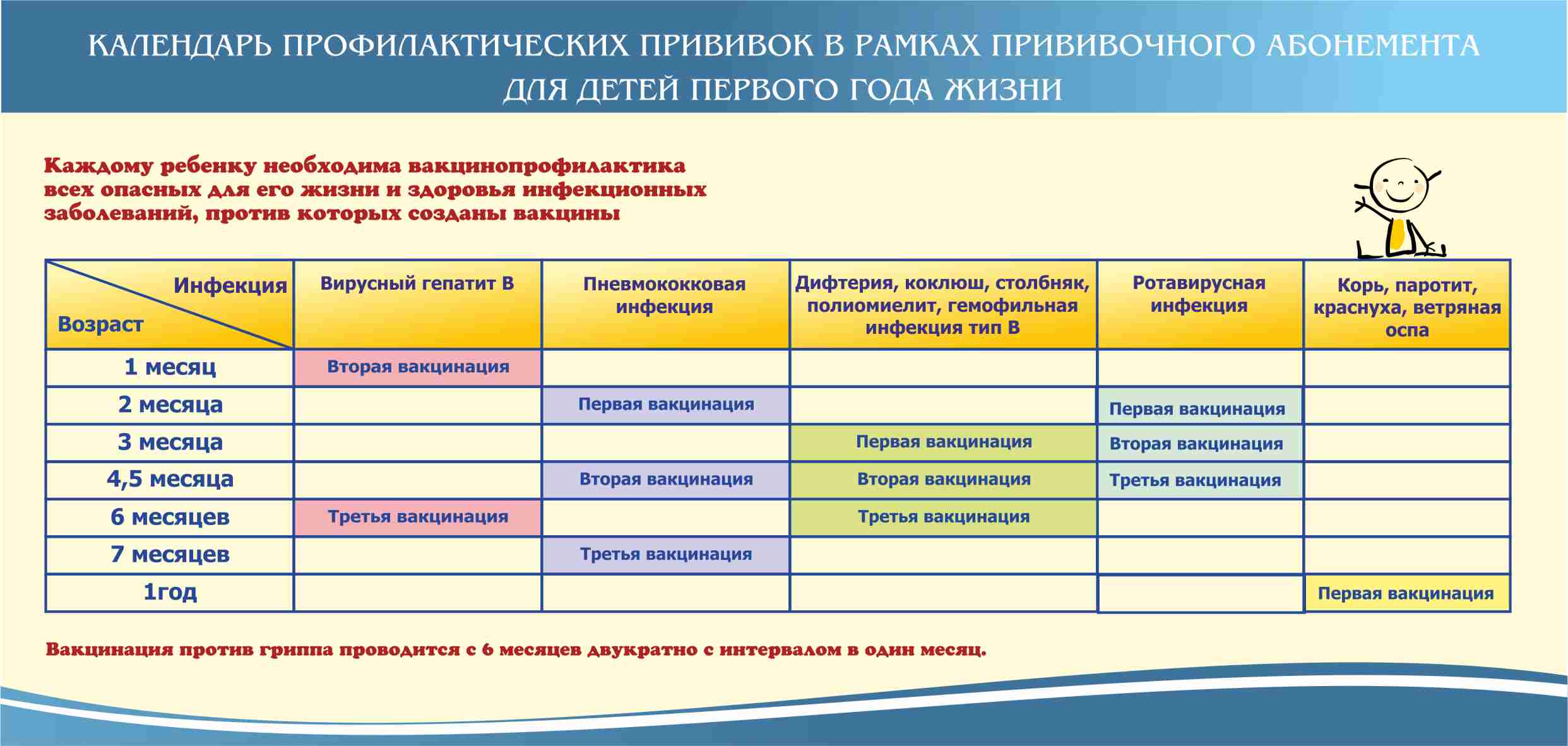 Календарь прививок до года 2024