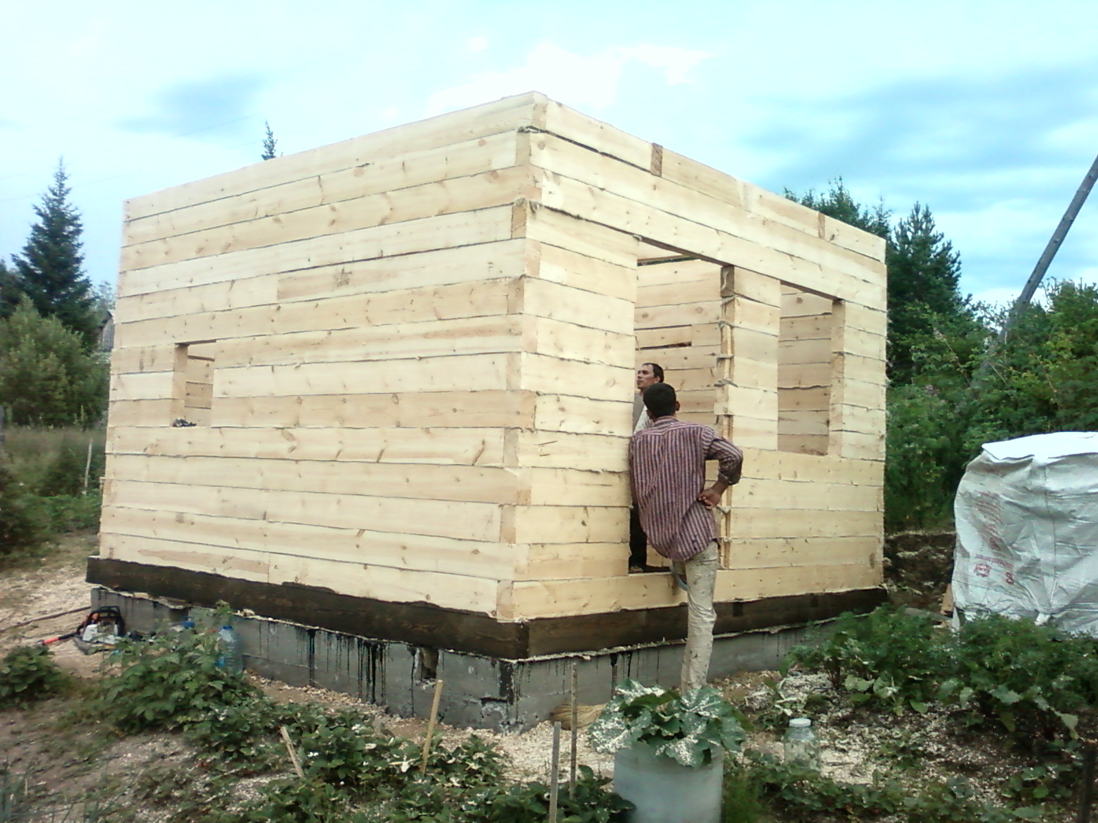 Дом из досок на ребро